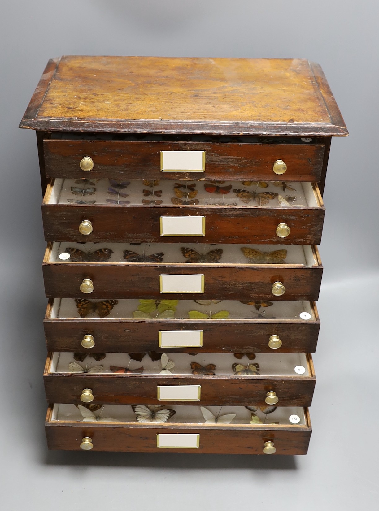 Entomology- British butterfly specimens contained in a chest of six drawers, 42 cm high, 38 cm wide, 23 cm deep